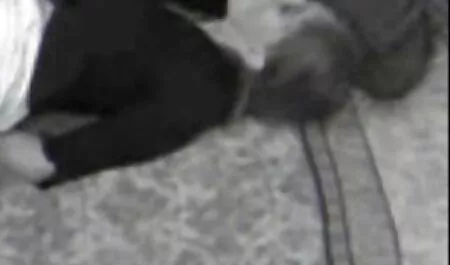 Yksinkertainen kaunotar pillua saappaissa video näyttelee aikuisviihdeelokuvissa