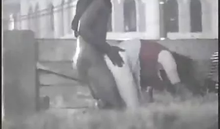 Ruskeahiuksinen Etelätorni pillua ilmaiseksi ystäviesi edessä.