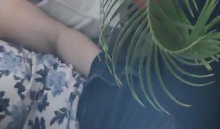 Vastanaineet aloittavat videotallennuksen ja puumapillu lämmittävät niitä.